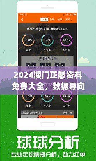 新澳正版全年免费资料 2023,新澳正版全年免费资料，探索2023年的无限可能