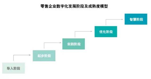 新管家婆一肖六码,新管家婆一肖六码，探索智能科技在供应链管理中的应用与价值