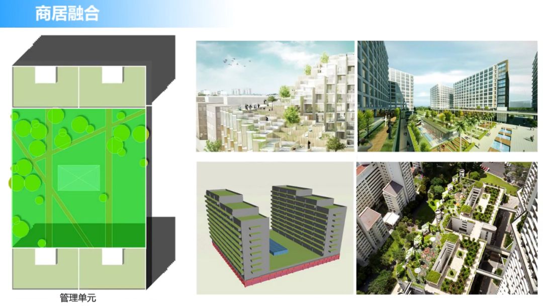 2025新奥门正版资料免费提拱,探索澳门未来蓝图，揭秘澳门正版资料免费提供的趋势与机遇