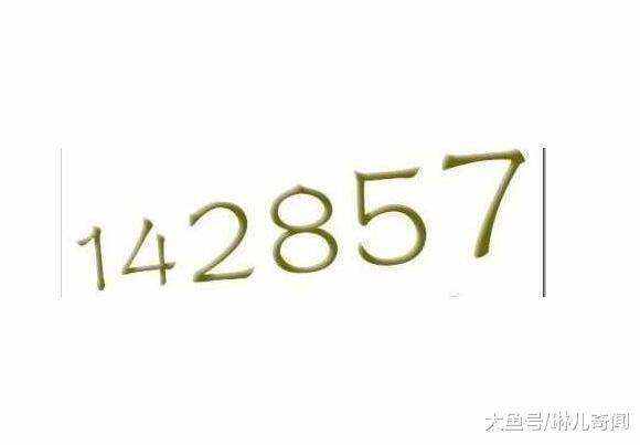 7777788888一肖一码,探索神秘数字组合，77777与88888一肖一码的魅力世界